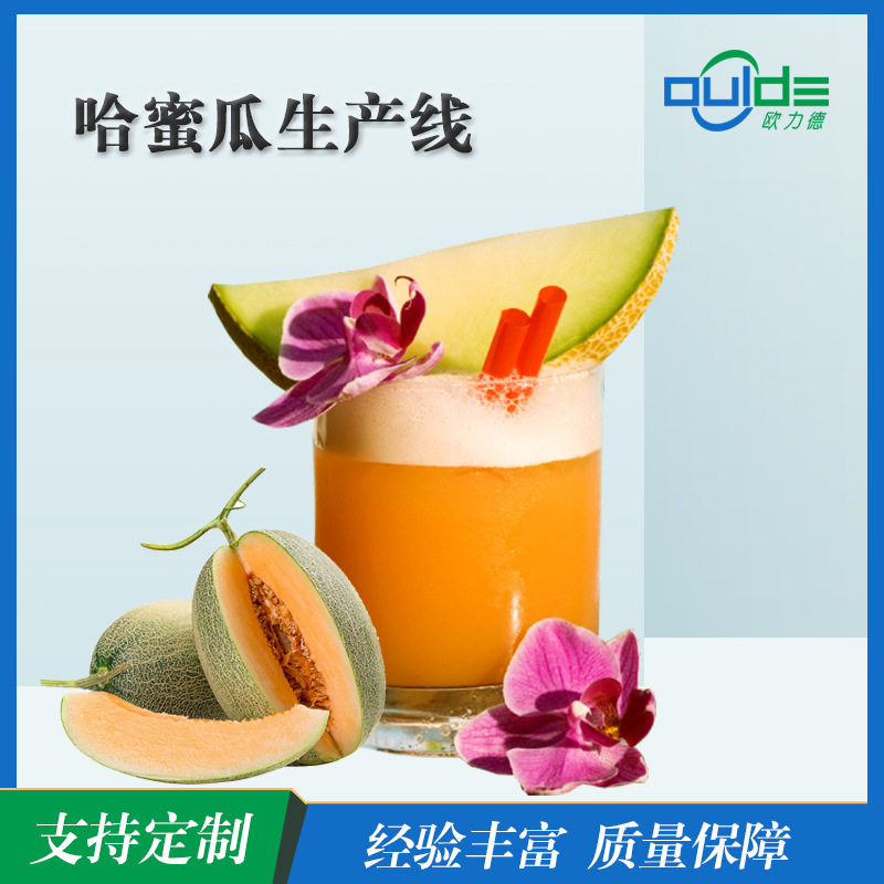 厂家供应大小型果汁果酱饮料生产线哈密瓜汁全自动生 产线