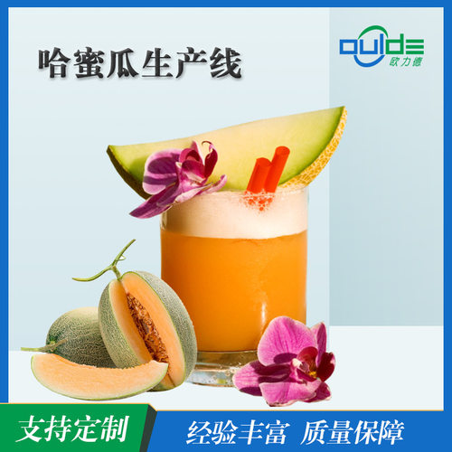 厂家供应大小型果汁果酱饮料生产线哈密瓜汁全自动生 产线