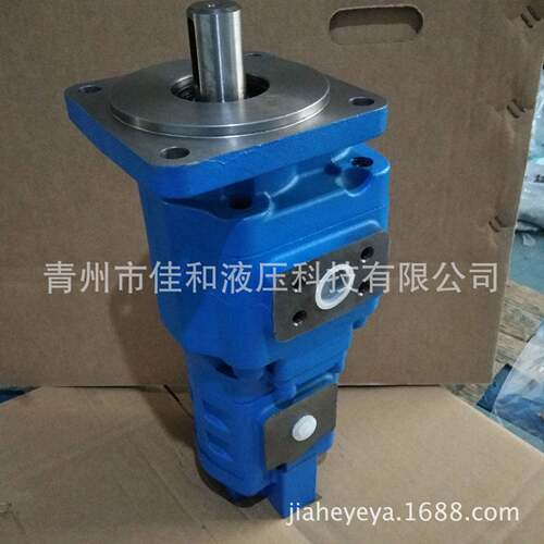 徐工500K 装载机泵 J2100/0010-XF  装载机液压泵 供应