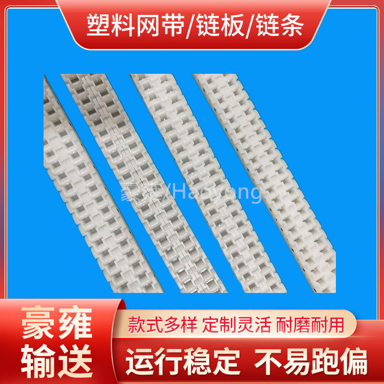 双排塑胶链条 PVDF双排链条 双排齿塑料链条 40P双排塑料链条
