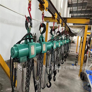气动葫芦 行走式 固定式 5吨气动葫芦好安装 加粗链条承重力强环链式