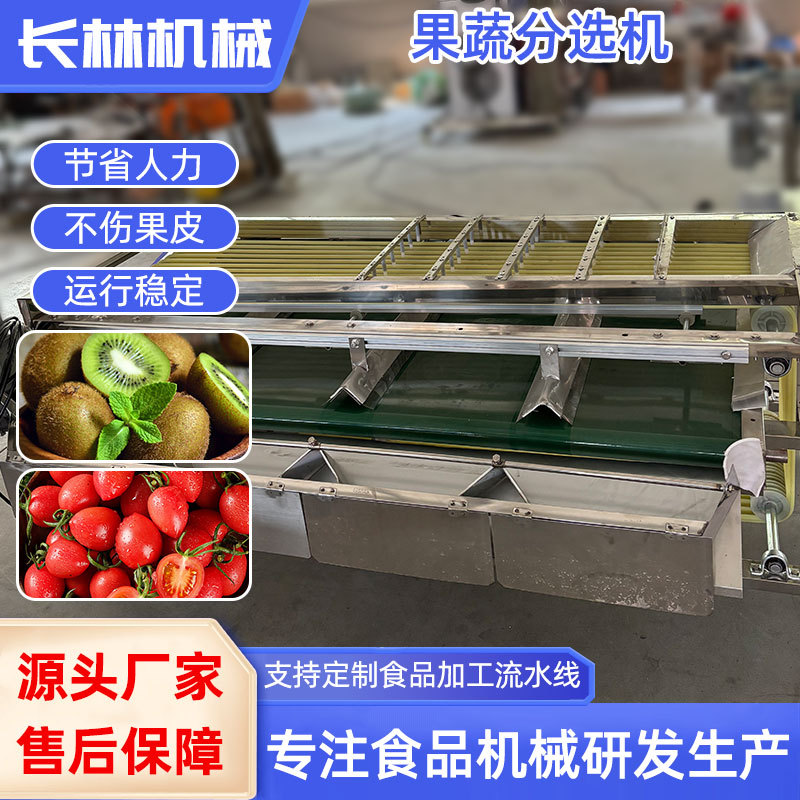 土豆萝卜分级机 柑橘荔枝轨道式选果机 青枣车厘子黄桃轨道式分选