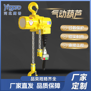鹰普气动葫芦厂家定制环链起重风动葫芦石油化工煤矿用气动葫芦