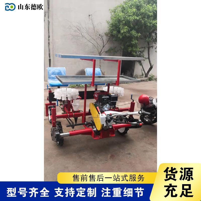 自走式蔬菜苗移栽机 辣椒茄子西红柿栽种机 山区丘陵蔬果栽种机