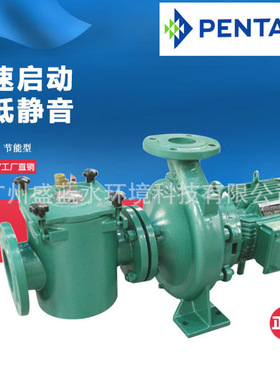 PENTAIR滨特尔XCP系列商用泳池泵浴池过滤循环吸污泵大型铸铁水泵