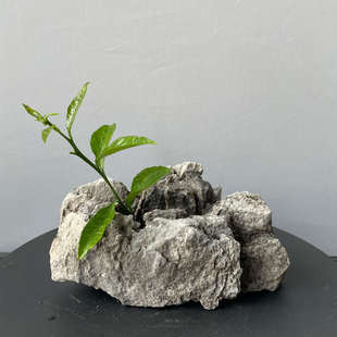 青龙石鱼缸造景石微景观造景装饰假山石头盆景树抱石一石一拍