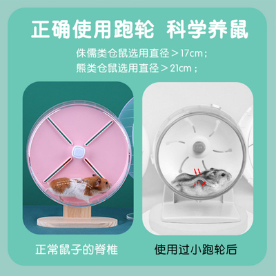 仓鼠跑轮糖果跑轮超静音26cm大号金丝熊滚轮T支架玩具用品造景