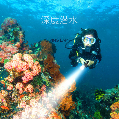 潜水手电筒充电水下照明强光防水超G亮夜潜头灯赶海黄光探照灯
