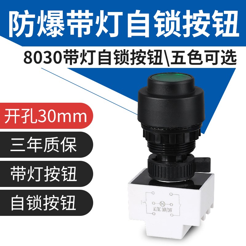 YH8030防爆自锁按钮塑料防腐带指示灯exd开孔30mm控制启停开关ct6