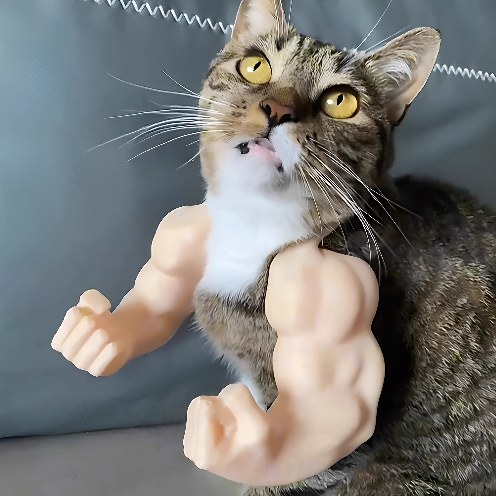 肌肉手臂猫咪玩具3D打印创意个性立体宠物cosplay搞怪挂件装扮