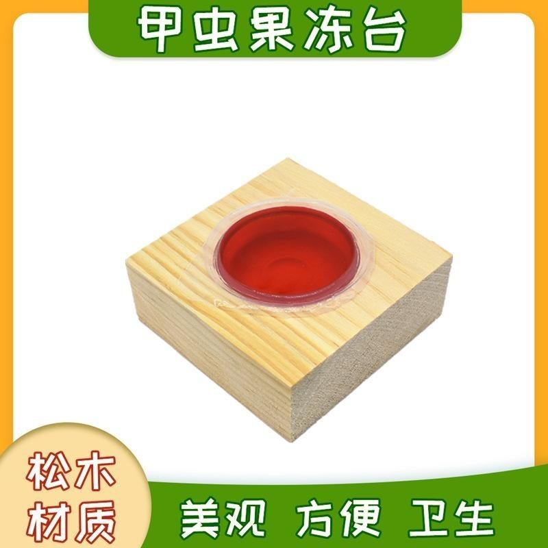 甲虫果冻台实木独角仙食物取食器