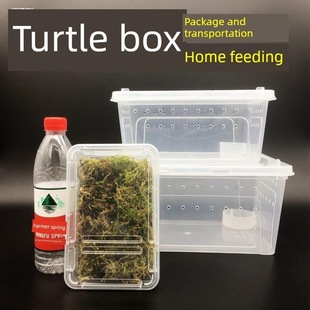 宠物爬宠饲养盒乌龟冬眠箱守宫蜥蜴角蛙蜘蛛活体爬虫通用盒子
