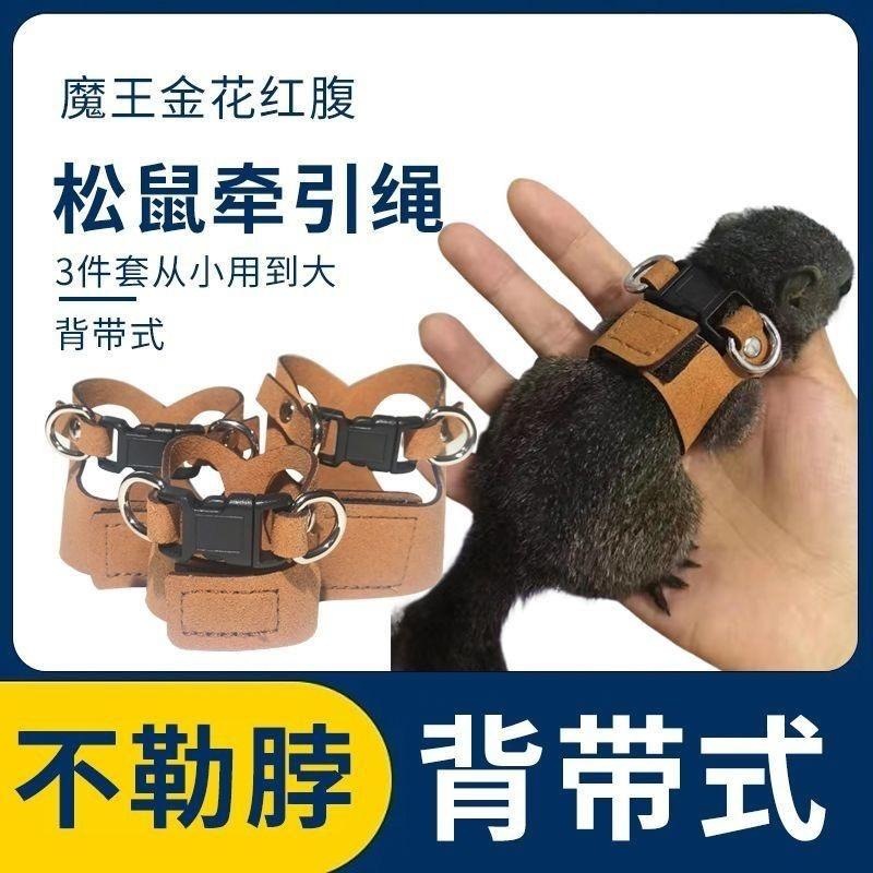 爬虫蜥蜴牵引绳小鳄鱼鬃狮蜥蓝舌