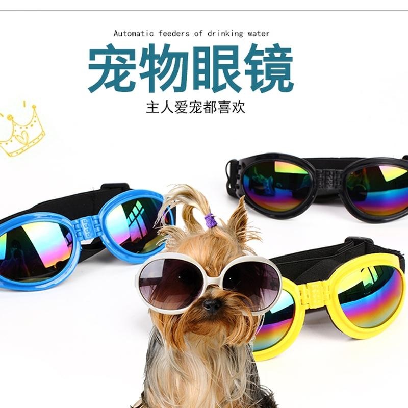 约克夏专用墨镜眼镜宠物小狗狗防