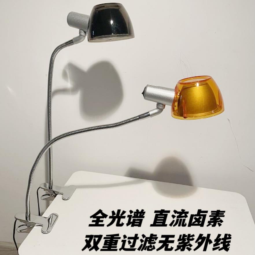 直流卤素灯欧司朗进口灯芯 学生儿童护眼台灯夹子款简洁实用