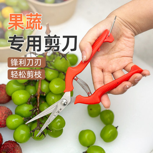 果蔬专用剪修剪葡萄枝荔枝摘取果子剪刀修花蔬果剪树枝利关牌小剪