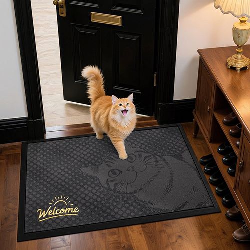 地垫入户门垫2025新款刺绣门口专用耐脏免洗进门脚垫玄关除尘地毯