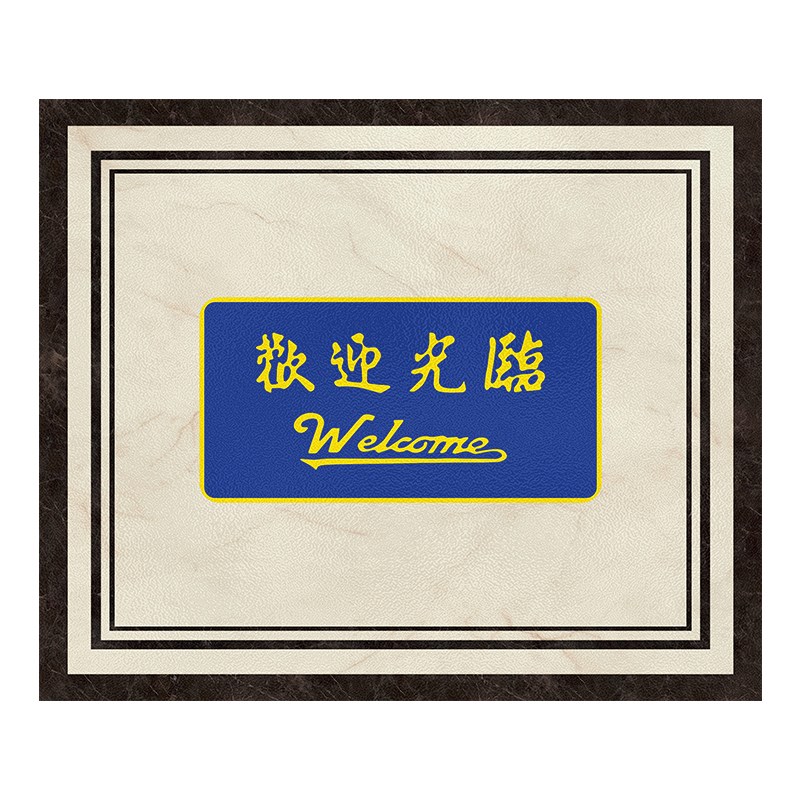 入户门室内门口可擦洗地垫pvc皮革免洗耐脏门内进门定制脚垫门垫