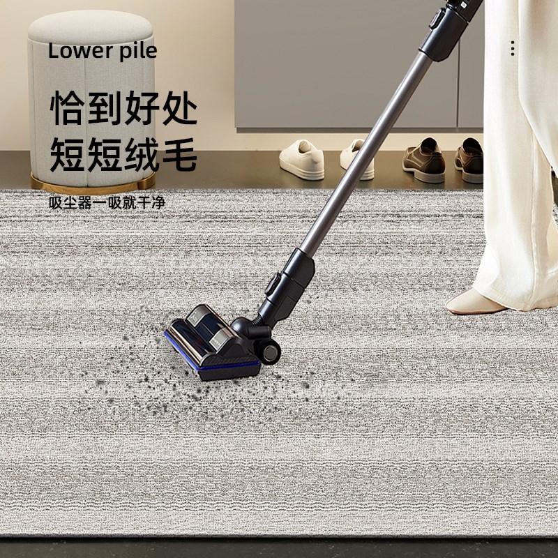 门垫入户门地垫2024新款现代简约玄关地垫家用耐脏防滑可定制地垫