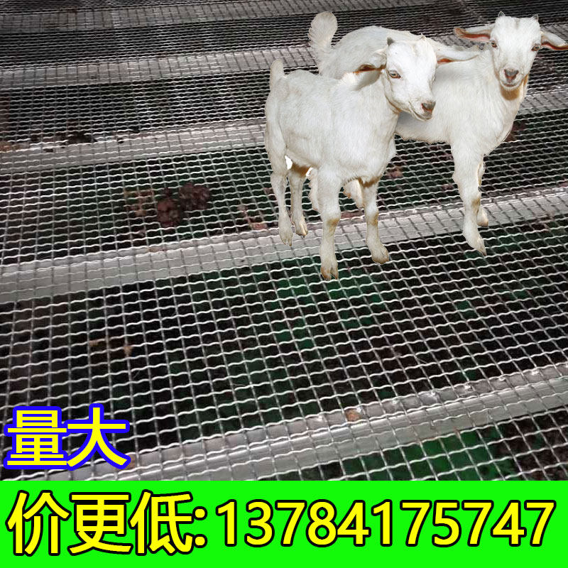 羊床钢丝网漏粪网养羊用的设备钢网鸡鸭鹅漏粪网T热镀锌编织围栏