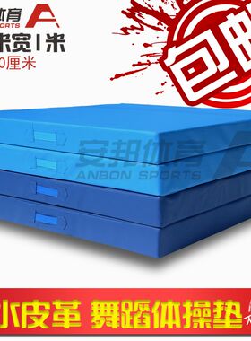 皮革舞蹈垫练功垫体操垫防滑瑜伽垫健身垫加厚仰X卧起坐垫器材