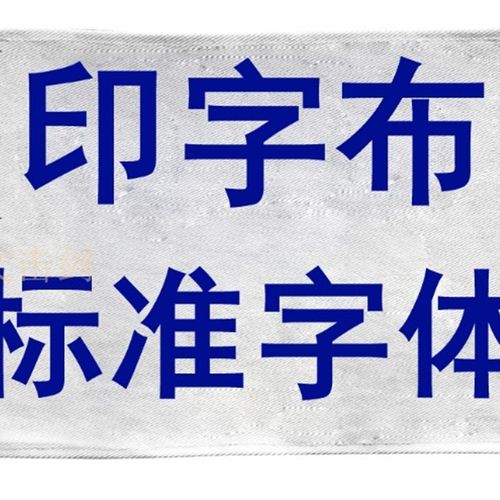 击剑保护服三件套 花剑佩剑金属衣 印字 剑协标准字体大小