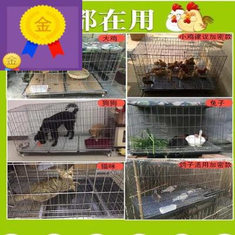 屋铁狗可折叠小型犬大中小型鸡笼狗狗装鸽子的笼子鸽舍粪盘鹌鹑猫