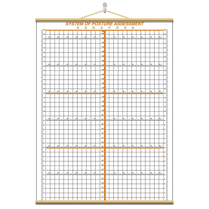 体态评估表挂式贴式体测健身房瑜伽馆私教身高臂展网格身体对比图