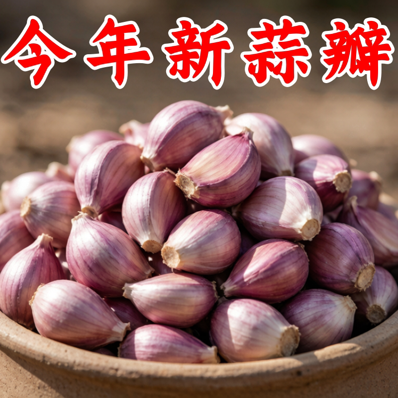 云南紫皮大蒜瓣蒜可吃大蒜红皮干蒜香蒜头可种辛辣产地发货