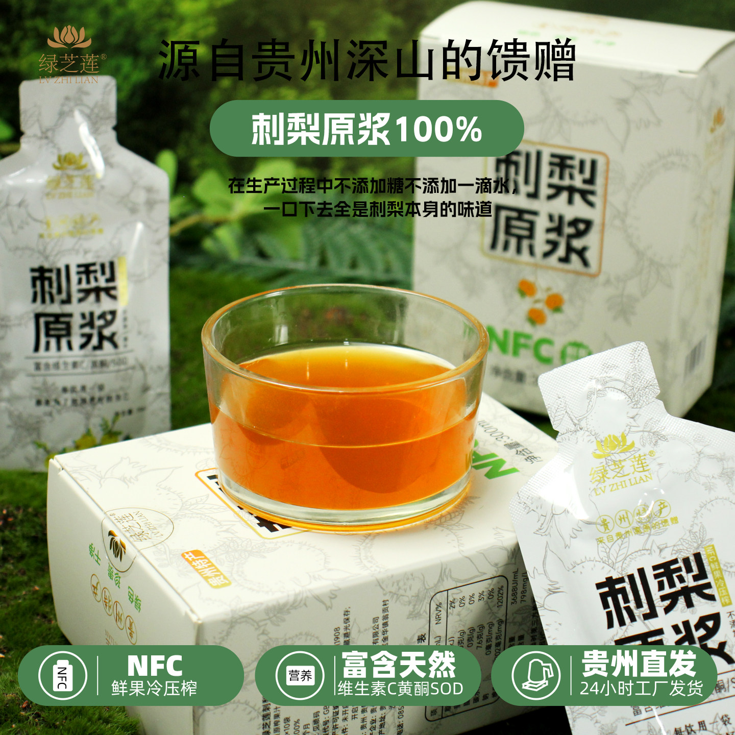 绿芝莲刺梨原浆小袋礼盒装贵州刺梨原汁原液特产新鲜刺梨NFC榨汁,传统滋补营养品,刺梨/刺梨原浆,淘宝优惠券,粉丝福利购,淘宝优惠卷