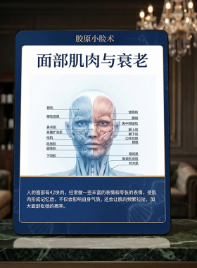 胶原小脸术桌面摆台美容院抗衰宣传摆件