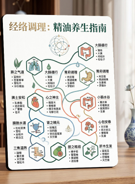 经络调理精油养生指南美容院店内宣传桌面摆件