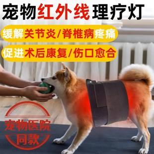 宠物红外线理疗垫保暖狗狗加热烤灯老年犬脊椎骨折术后髋关节康复