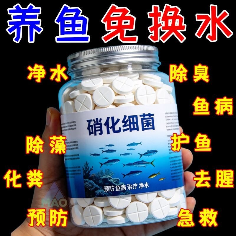 硝化细菌鱼缸用硝化菌片硝化干粉养鱼用品水立清净水剂鱼缸净水剂