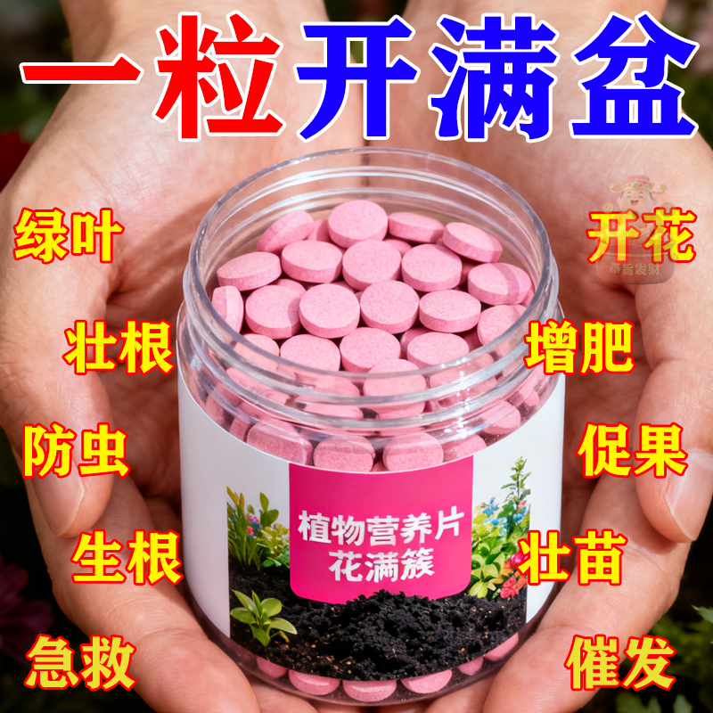 植物缓释营养片绿植肥料