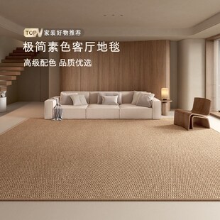 仿剑麻客厅地毯高级感沙发茶几垫子纯色菠萝圈简约客厅地毯耐脏