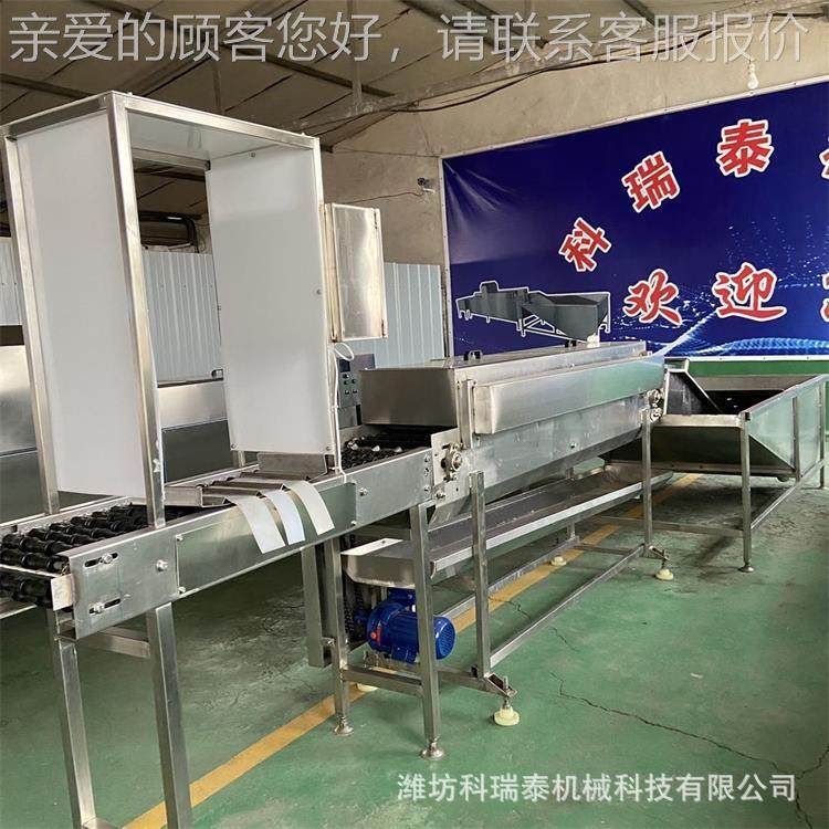 三蛋排鸡蛋EKR洗蛋机生产商家 厂家供应鸡清钢洗水流线 不锈洗盐,农机/农具/农膜,农用防护器具,淘宝优惠券,粉丝福利购,淘宝优惠卷