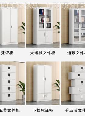 定制件柜文钢制加办厚公柜黑色塑料LMK铁拉手皮柜落地器械柜