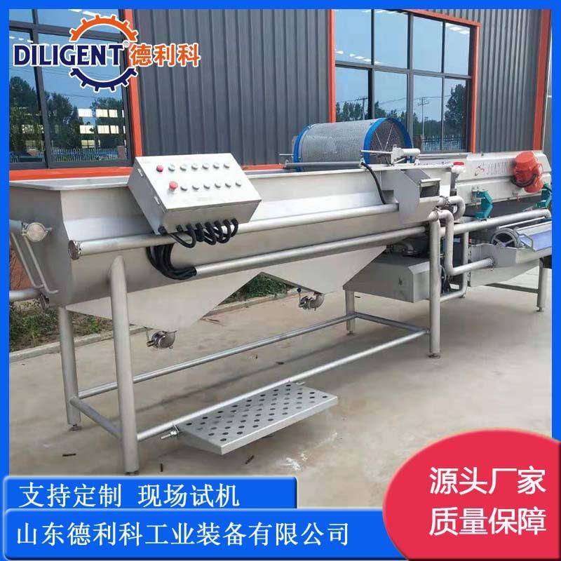 东北蕨菜气泡清洗机厂家山野菜清洗设备净菜加工设备