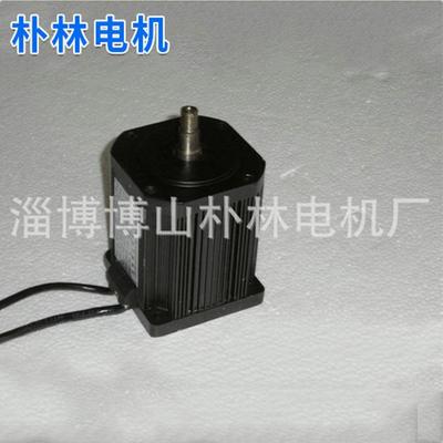 厂家现货100WS40-150调速电机220V朴林牌无极调速电机