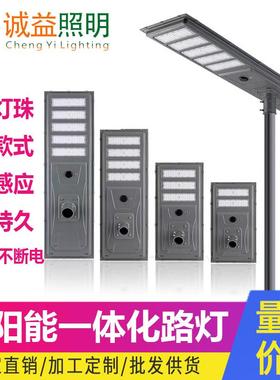 跨境外贸LEDsolar一体化路灯户外大功率市政道路照明工程