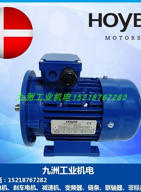 霍尔HOYER电机MS5624n 7124 8024 90L4 100L4 112M4 132M4马达 4