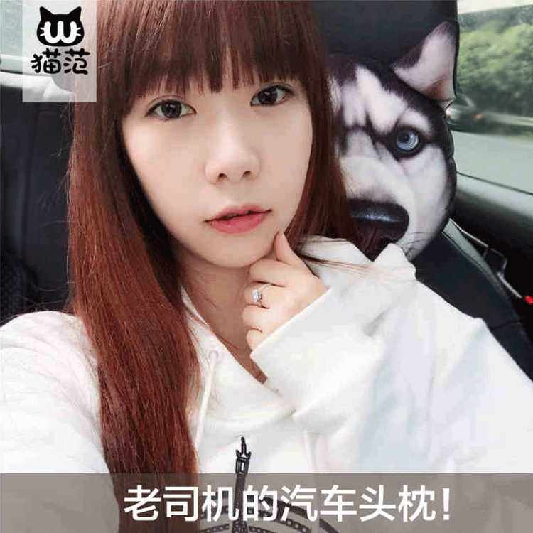 低价  3D哈士奇汽车头枕创意车用护颈枕二哈车载枕头,模玩/动漫/周边/娃圈三坑/桌游,动漫毛绒/抱枕/坐垫,淘宝优惠券,粉丝福利购,淘宝优惠卷