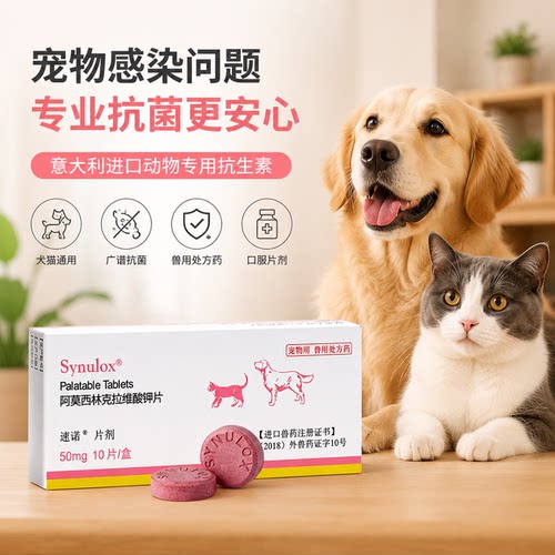 速诺阿莫西林克拉维宠物抗菌片