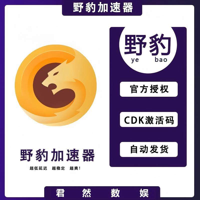 野豹加速器VIP 1天/3天/周卡/月卡 卡密兑换 游戏加速器