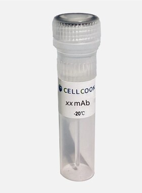 SIRT3兔单抗抗体