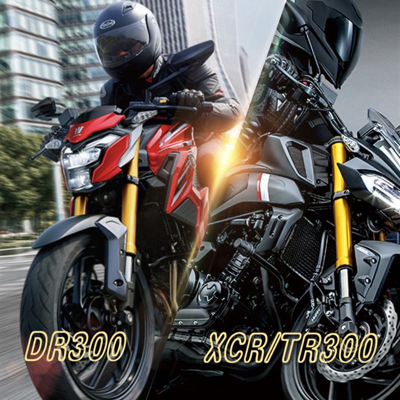 适用DR250 XCR300 TR300 DR300大小牙盘静音链轮征和UX油封链条