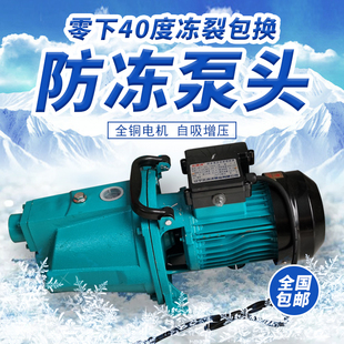 家用压力罐防冻裂自吸喷射泵家用大流量高扬程水井增压抽水机抗冻