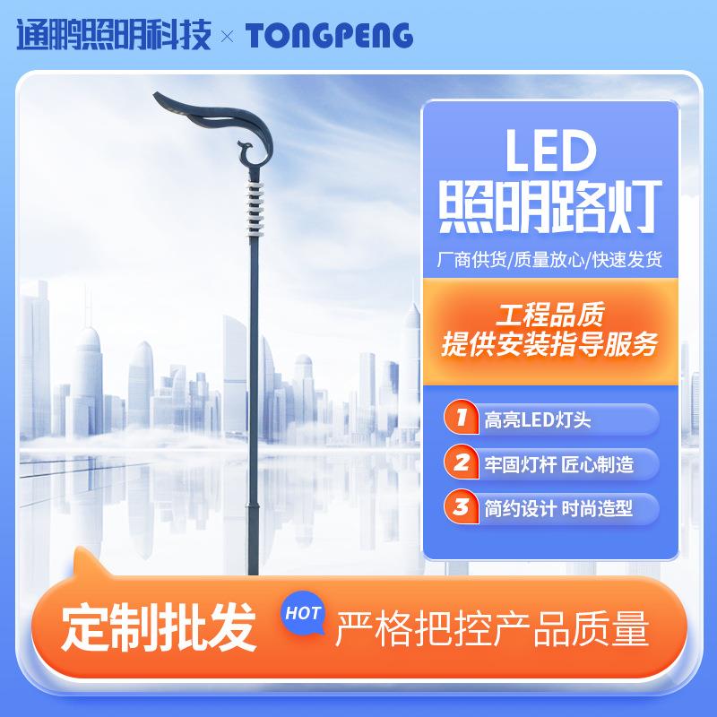 厂家LED市电路灯路灯杆5m6m单臂双臂LED路灯高亮度