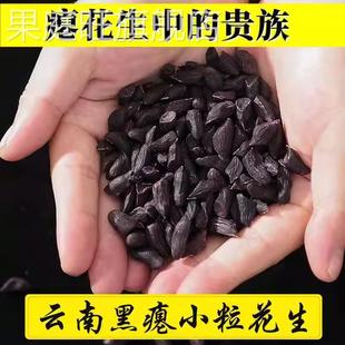 云南富硒黑花生米干瘪粒黑花生去壳黑皮瘪花生原味生养胃零食特产